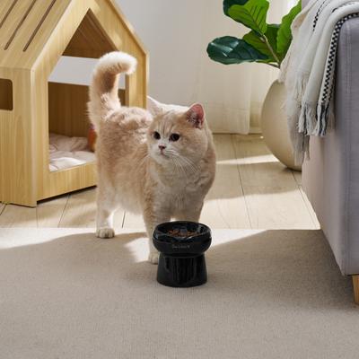 Show full view: Sam's Pets Tall Tulip 2.0 Elevated Dog Bowl, Black, 0.55-cup slide 5 of 9