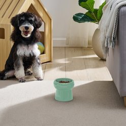 Sam's Pets Tall Tulip 2.0 Elevated Dog Bowl, Mint, 0.55-cup slide 2 of 9