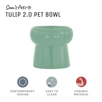 Show full view: Sam's Pets Tall Tulip 2.0 Elevated Dog Bowl, Mint, 0.55-cup slide 6 of 9