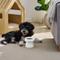Show in main carousel: Sam's Pets Tall Tulip 2.0 Elevated Dog Bowl, White, 0.55-cup slide 5 of 9