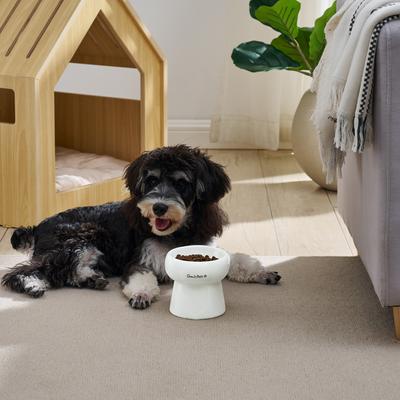 Show full view: Sam's Pets Tall Tulip 2.0 Elevated Dog Bowl, White, 0.55-cup slide 5 of 9