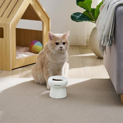 Show full view: Sam's Pets Tall Tulip 2.0 Elevated Dog Bowl, White, 0.55-cup slide 4 of 9