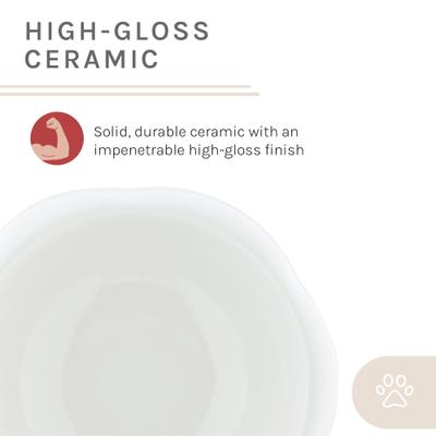 Show full view: Sam's Pets Tall Tulip 2.0 Elevated Dog Bowl, White, 0.55-cup slide 8 of 9