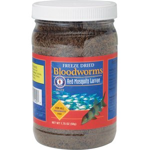 San Francisco Bay Brand Freeze-Dried Bloodworms Fish Treats, 1.75-oz jar