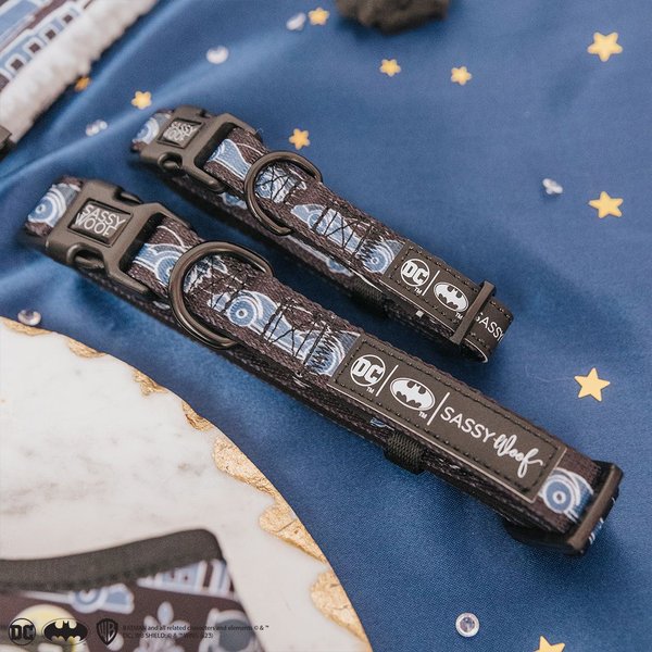 Show full view: Sassy Woof Batman Dog Collar, Black, Small: 9.5 to 13-in neck, .60-in wide slide 4 of 6