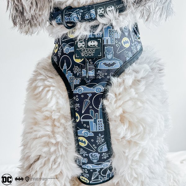 Show full view: Sassy Woof Batman Dog Collar, Black, Small: 9.5 to 13-in neck, .60-in wide slide 6 of 6