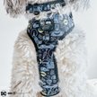 Show in main carousel: Sassy Woof Batman Dog Collar, Black, Small: 9.5 to 13-in neck, .60-in wide slide 6 of 6
