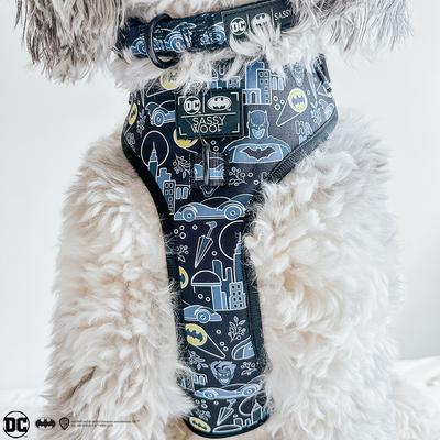 Show full view: Sassy Woof Batman Dog Collar, Black, X-Small: 7 to 9.5-in neck, .39-in wide slide 6 of 6