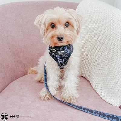 Show full view: Sassy Woof Batman Dog Leash, Black, 5-ft long, 4/5-in wide slide 5 of 6