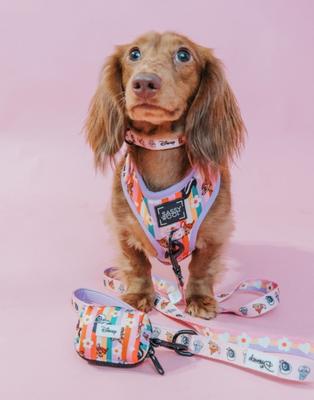 Show full view: Sassy Woof Disney's Bambi Dog Leash, Pink slide 5 of 5
