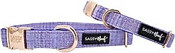Sassy Woof Dog Collar, Aurora, Small