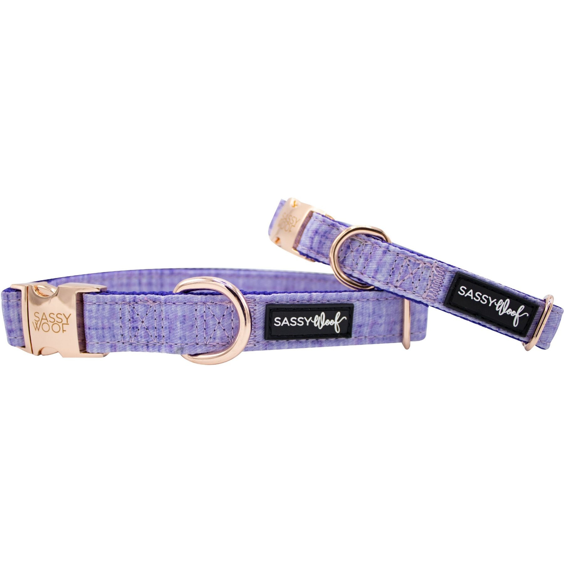 Sassy Woof Dog Collar, Aurora, Small
