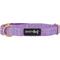 Show in main carousel: Sassy Woof Dog Collar, Aurora, Small slide 3 of 6