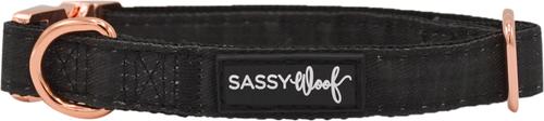 Show full view: Sassy Woof Dog Collar, Baby Got Black, Small slide 4 of 7