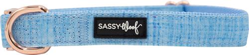 Show full view: Sassy Woof Dog Collar, Blumond, Large slide 3 of 6