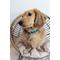 Show in main carousel: Sassy Woof Dog Collar, Napa, Large slide 5 of 6