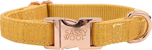 Show full view: Sassy Woof Dog Collar, Sunflower Fields, Medium slide 2 of 6