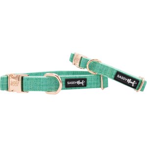 Sassy Woof Dog Collar, Wag Your Teal, Medium