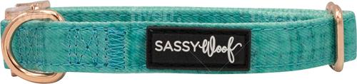 Show full view: Sassy Woof Dog Collar, Wag Your Teal, Medium slide 3 of 6