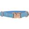 Show in main carousel: Sassy Woof Dog Waste Bag Holder, Collar, & Leash, 3 count, Blue, Small slide 3 of 9