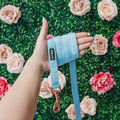 Show full view: Sassy Woof Dog Waste Bag Holder, Collar, & Leash, 3 count, Blue, Small slide 9 of 9