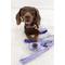 Show in main carousel: Sassy Woof Dog Waste Bag Holder, Collar, & Leash, 3 count, Purple, Medium slide 8 of 8
