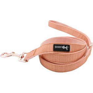 Sassy Woof Squad Ghouls Dog Leash