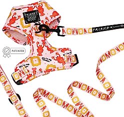 Sassy Woof Friends Dog Harness & Leash, Pink, Small: 16 to 21-in chest