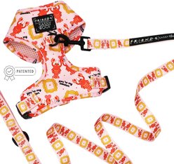 Sassy Woof Friends Dog Harness & Leash, Pink, X-Small: 14 to 19-in chest