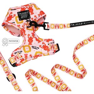 Sassy Woof Friends Dog Harness & Leash, Pink, XX-Small: 10 to 14-in chest