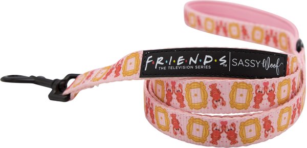 Sassy Woof Friends Dog Harness & Leash, Pink