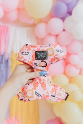 Show full view: Sassy Woof Friends Dog Harness, Pink, Medium: 18 to 25-in chest slide 3 of 6