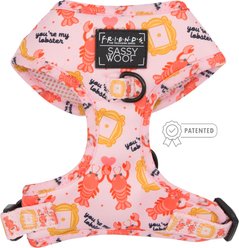 Sassy Woof Friends Dog Harness, Pink, X-Large: 24 to 35-in chest