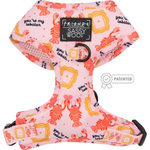 Sassy Woof Friends Dog Harness, Pink, X-Large: 24 to 35-in chest