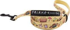 Sassy Woof Friends Dog Leash, 5-ft long, 4/5-in wide, Yellow