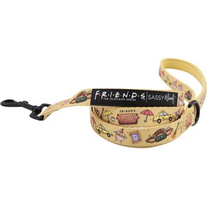 Sassy Woof Friends Dog Leash, 5-ft long, 4/5-in wide, Yellow