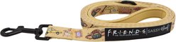 Sassy Woof Friends Dog Leash, 5-ft long, 4/5-in wide, Yellow slide 2 of 5