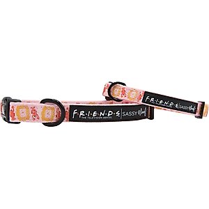 Sassy Woof Friends Standard Dog Collar, Pink, Medium