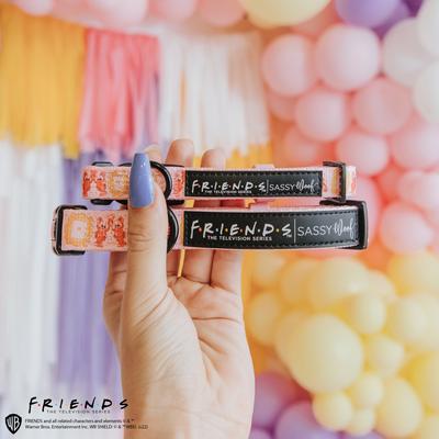 Show full view: Sassy Woof Friends Standard Dog Collar, Pink, Medium slide 5 of 6