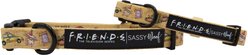 Sassy Woof Friends Standard Dog Collar, Yellow, Large