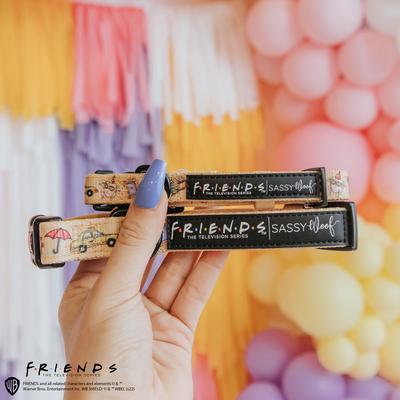 Show full view: Sassy Woof Friends Standard Dog Collar, Yellow, Large slide 5 of 6