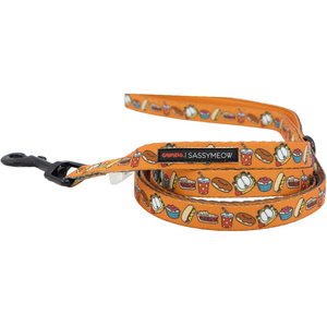 Sassy Woof Garfield Cat Leash, One Size: 6-ft long, 0.6-in wide