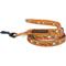 Show in main carousel: Sassy Woof Garfield Cat Leash, One Size: 6-ft long, 0.6-in wide slide 1 of 3