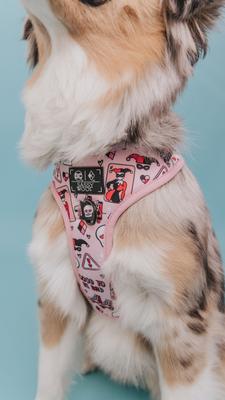 Show full view: Sassy Woof Harley Quin Dog Harness, Pink, Large: 22 to 33-in chest slide 4 of 5