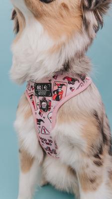 Show full view: Sassy Woof Harley Quin Dog Harness, Pink, Medium: 18 to 25-in chest slide 3 of 4