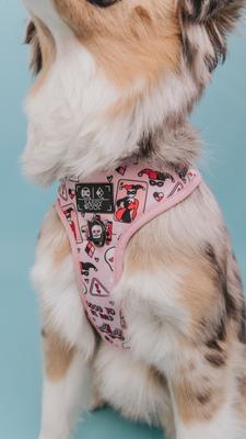 Show full view: Sassy Woof Harley Quin Dog Harness, Pink, Small: 16 to 21-in chest slide 4 of 5