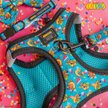 Show in main carousel: Sassy Woof Nickelodeon CatDog Cat Collar, Blue, Medium: 8 to 12-in neck, 2/5-in wide slide 4 of 6