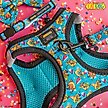 Show in main carousel: Sassy Woof Nickelodeon CatDog Cat Leash, Blue, 6-ft long, 0.6-in wide slide 4 of 5
