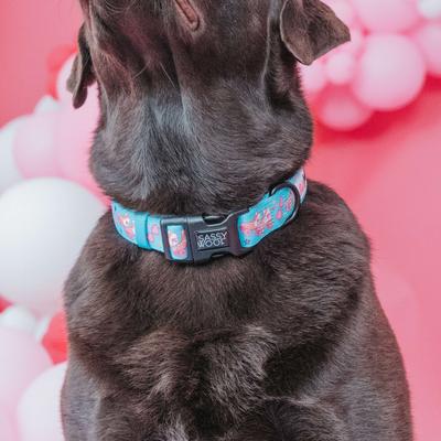 Show full view: Sassy Woof On a Roll Dog Collar, Blue, X-Small: 7 to 9.5-in neck, .39-in wide slide 5 of 7