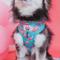 Show in main carousel: Sassy Woof On a Roll Dog Harness, Blue, Medium: 18 to 25-in chest slide 3 of 4